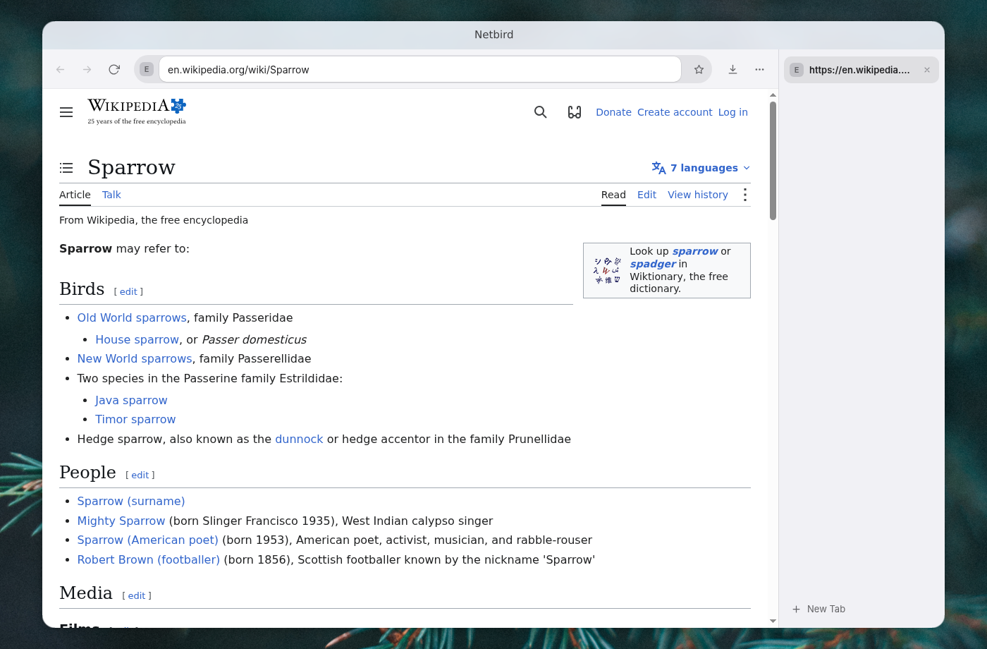 Netbird: tabs down the right side, a Wikipedia page open